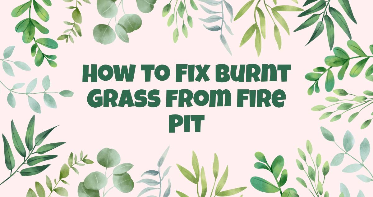 How to Fix Burnt Grass from Fire Pit