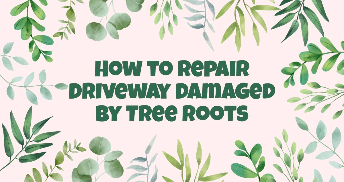 How to Repair Driveway Damaged by Tree Roots