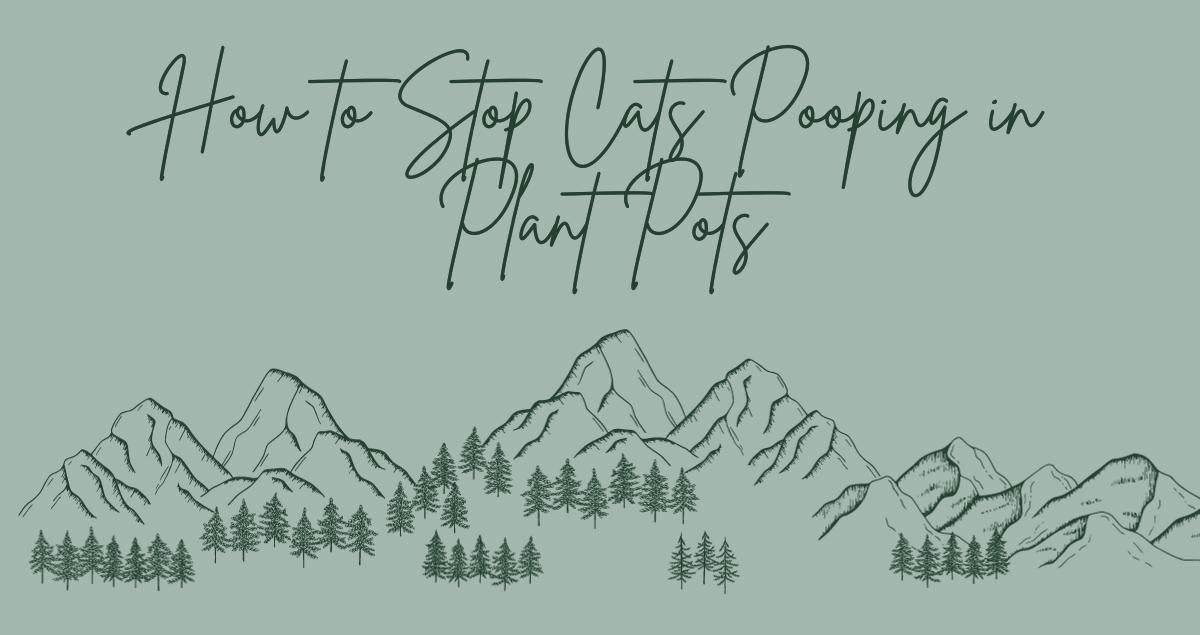How to Stop Cats Pooping in Plant Pots